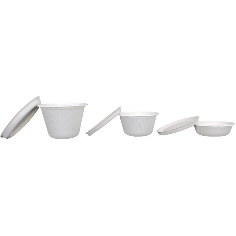 Bagasse Take Away Cups with Lids